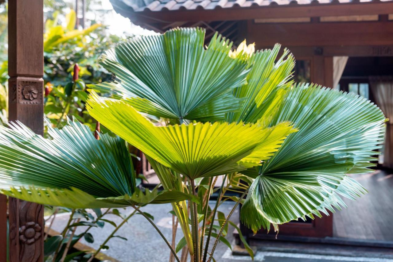 Villa Waturenggong Ubud Екстериор снимка